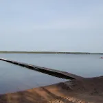 Karujaerve *